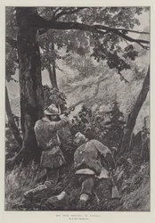 Rehjagd in Österreich